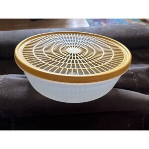 Vintage Tupperware Colander Strainer Bowl 1835-4 Flow Thru Sheer Mint Lid 1836-1